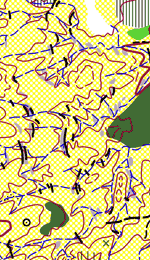 cartes_mayons4.gif (28396 octets)